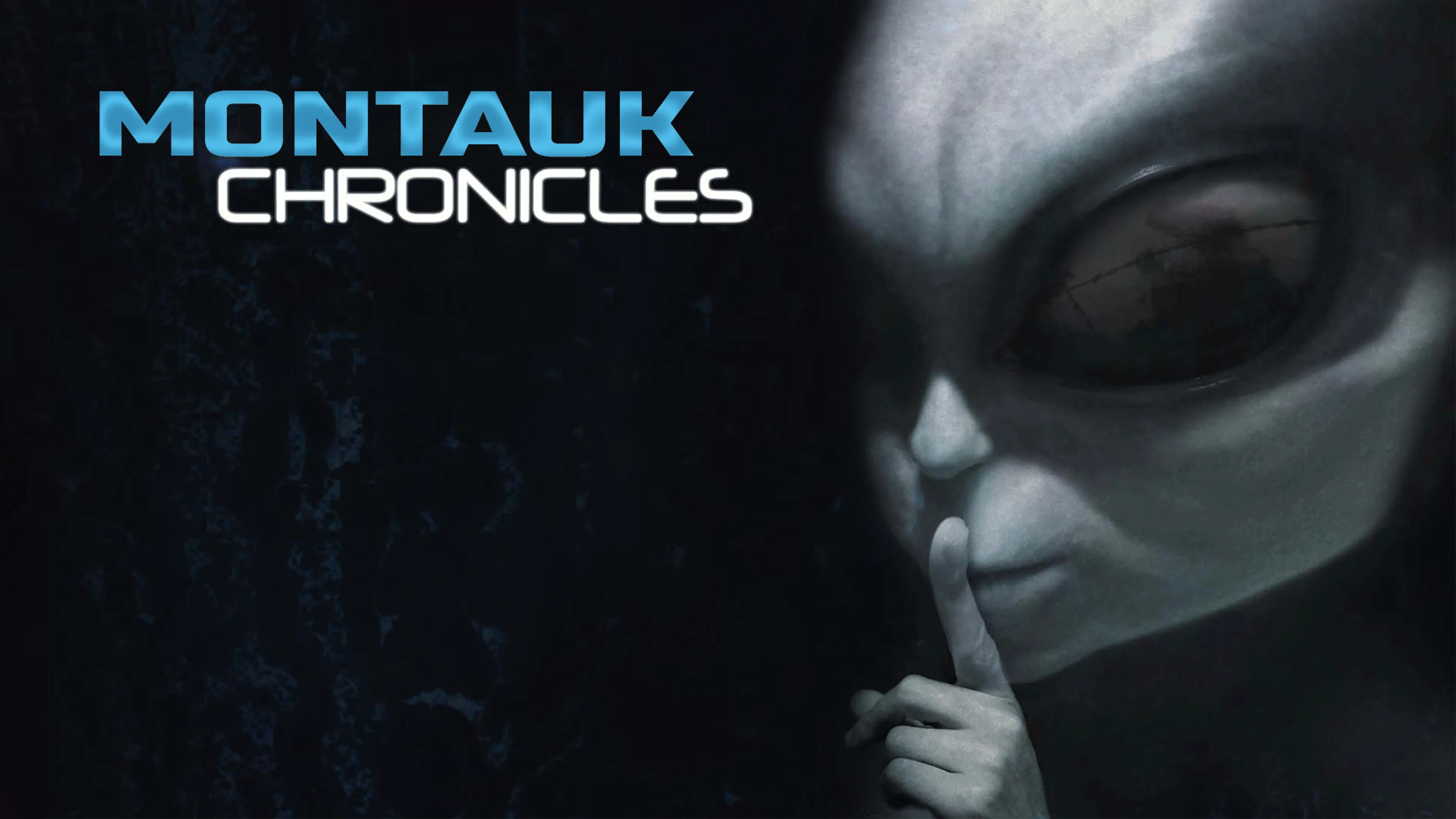 Montauk Chronicles poster